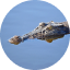 alligator